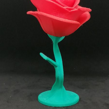 Rose – Image 2